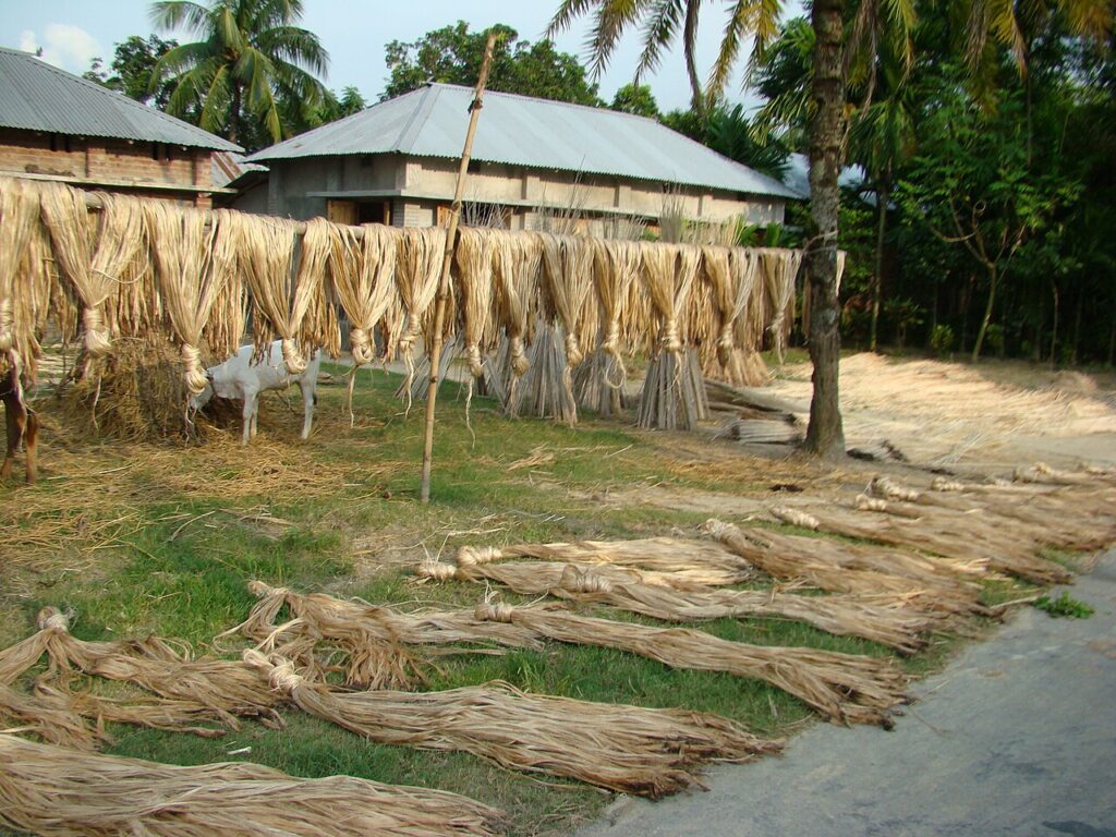 The history of jute and bangladesh can be traced back many centuries into the past