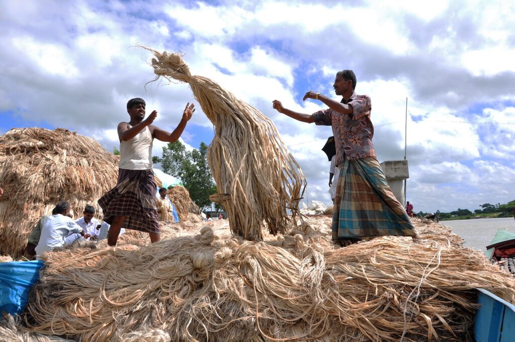 The extraction of jute fibres is the starting point in the journey of jute