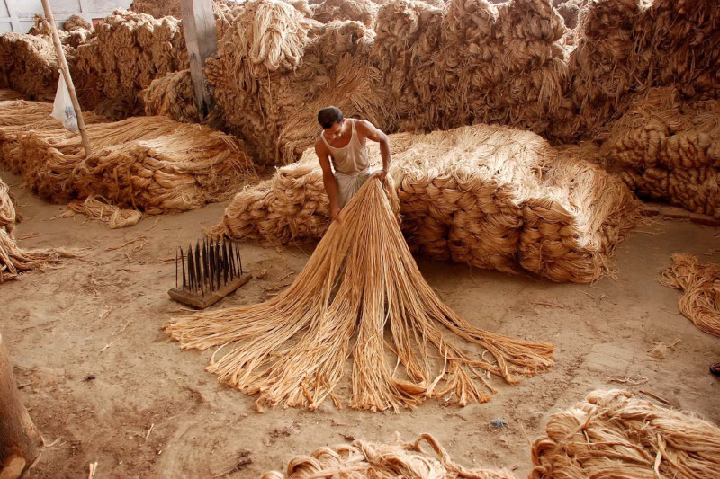 raw jute being selected by spinners in the jute mill
